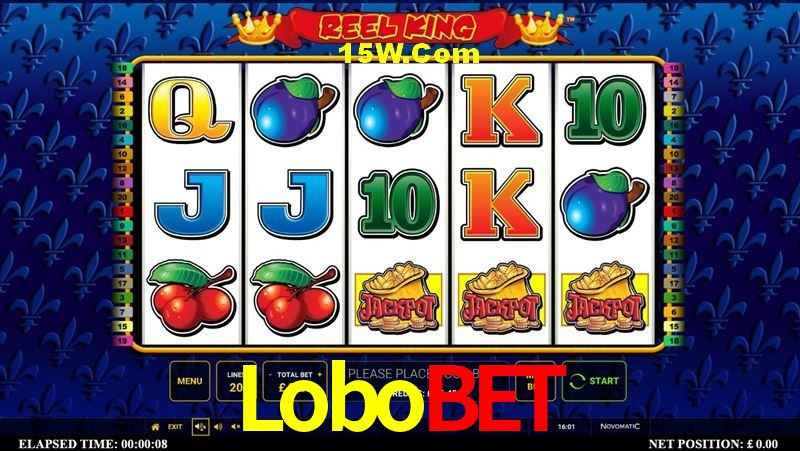 Platform Technology Lobobet